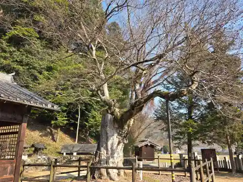 八幡神社(兵庫県)