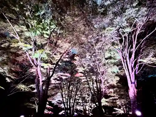 土津神社｜こどもと出世の神さま(福島県)