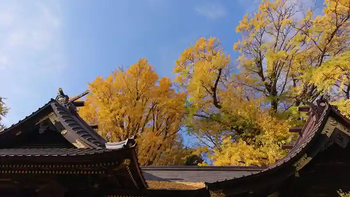 玉敷神社(埼玉県)