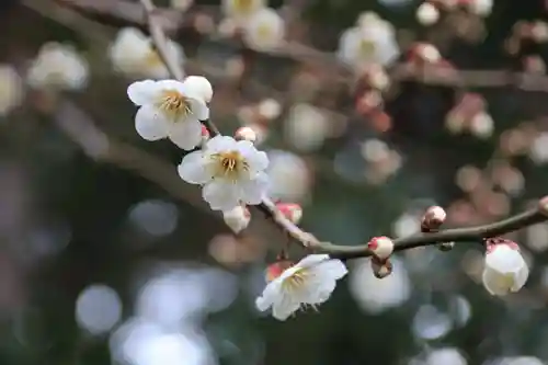 豊景神社の庭園