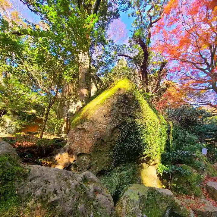 阿波々神社(静岡県)