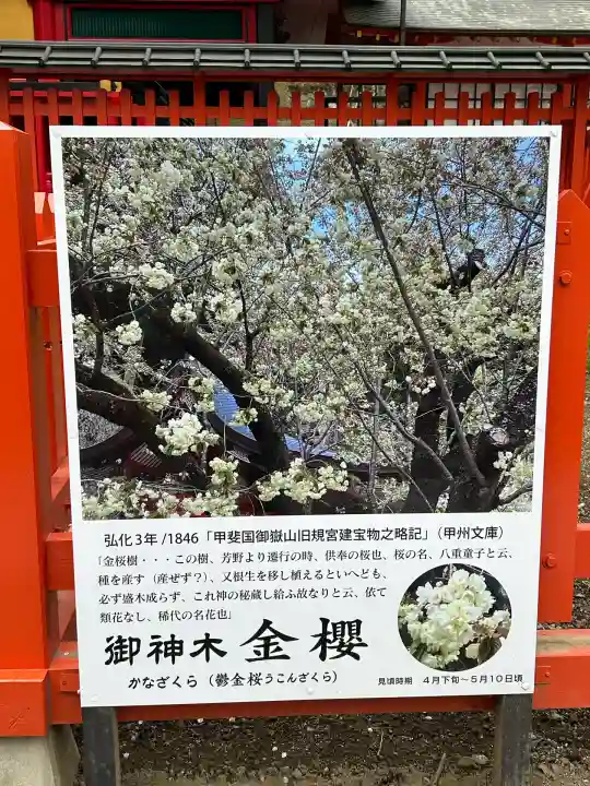 金櫻神社(山梨県)