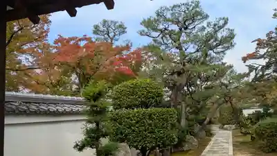 蟠桃院(京都府)