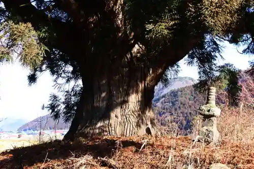 御札神社の歴史