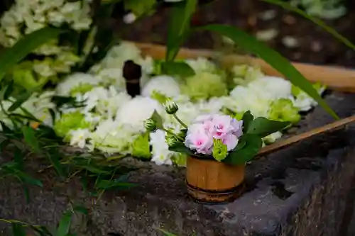 八幡宮(静岡県)