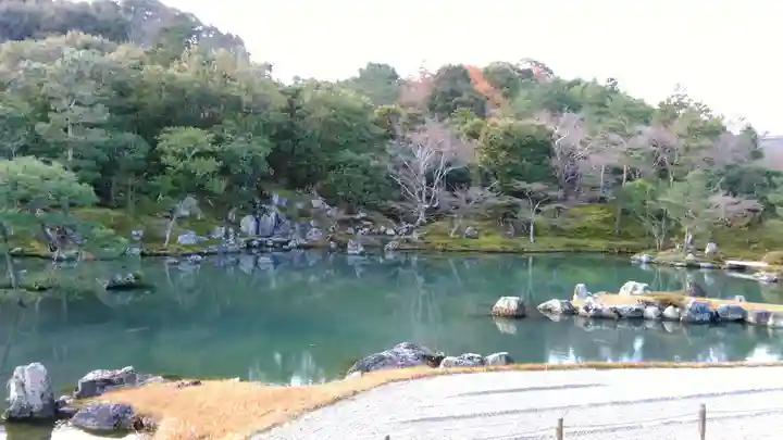 天龍寺の庭園