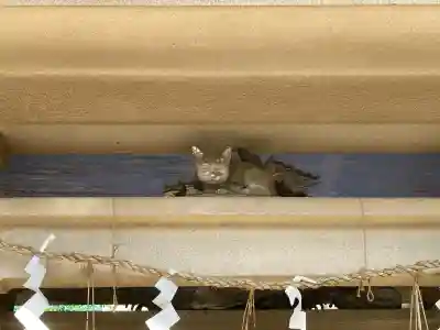 元城町東照宮(静岡県)