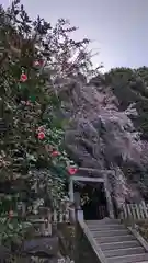 大豊神社(京都府)