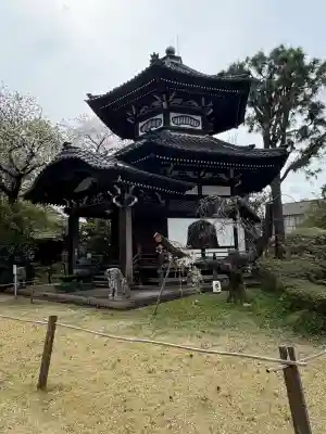 観音寺（世田谷山観音寺）の{uncategorized: "未分類", other: "その他", undefined: "問題あり", building: "その他建物", grave: "お墓", sacred_gate: "鳥居", guardian: "狛犬", statue: "像", buddha: "仏像", history: "歴史", nature: "自然", garden: "庭園", animal: "動物", pagoda: "塔", temizu: "手水舎", mountain_gate: "山門・神門", sanctuary: "本殿・本堂", subordinate: "末社・摂社", art: "芸術", scenery: "景色", jizo: "地蔵", ema: "絵馬", goshuin: "御朱印", omikuji: "おみくじ", items: "授与品その他", amulet: "お守り", goshuincho: "御朱印帳", eats: "食事", festival: "お祭り", votive_dance: "神楽", shichigosan: "七五三参", wedding: "結婚式", experience: "体験その他", initially: "初詣", around: "周辺", anti_infection: "感染症対策"}