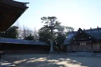 鶴谷八幡宮(千葉県)