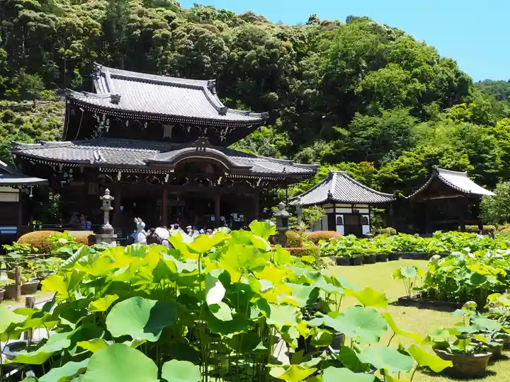三室戸寺の本殿・本堂