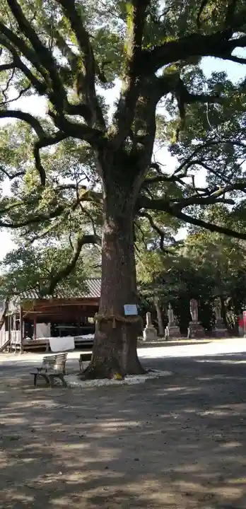 福母八幡宮の自然