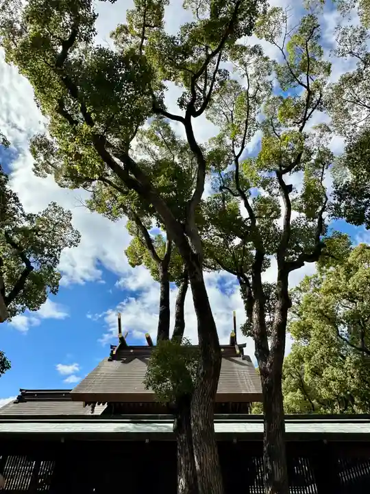 和泉國一之宮 大鳥大社(大阪府)