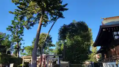 中野沼袋氷川神社のその他建物