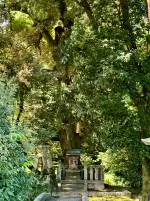 伊富岐神社(岐阜県)