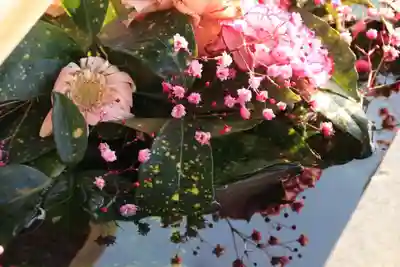 豊景神社の手水舎