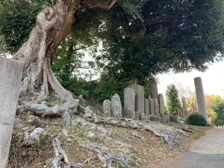 広福寺(千葉県)