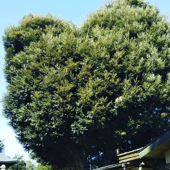 星宮神社の自然