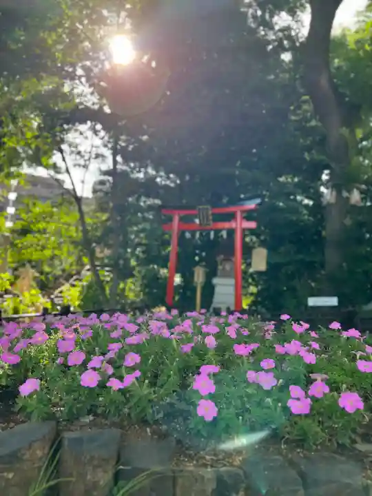 川越八幡宮(埼玉県)
