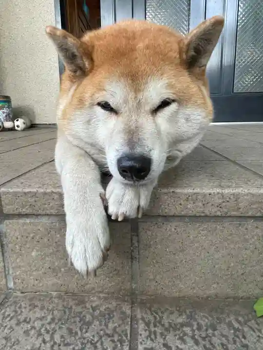 笠䅣稲荷神社(神奈川県)