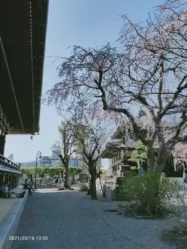 本覚寺のその他建物