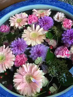 多賀神社の手水舎