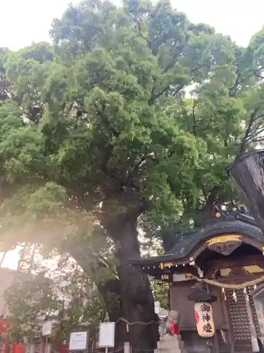 春日神社の{uncategorized: "未分類", other: "その他", undefined: "問題あり", building: "その他建物", grave: "お墓", sacred_gate: "鳥居", guardian: "狛犬", statue: "像", buddha: "仏像", history: "歴史", nature: "自然", garden: "庭園", animal: "動物", pagoda: "塔", temizu: "手水舎", mountain_gate: "山門・神門", sanctuary: "本殿・本堂", subordinate: "末社・摂社", art: "芸術", scenery: "景色", jizo: "地蔵", ema: "絵馬", goshuin: "御朱印", omikuji: "おみくじ", items: "授与品その他", amulet: "お守り", goshuincho: "御朱印帳", eats: "食事", festival: "お祭り", votive_dance: "神楽", shichigosan: "七五三参", wedding: "結婚式", experience: "体験その他", initially: "初詣", around: "周辺", anti_infection: "感染症対策"}