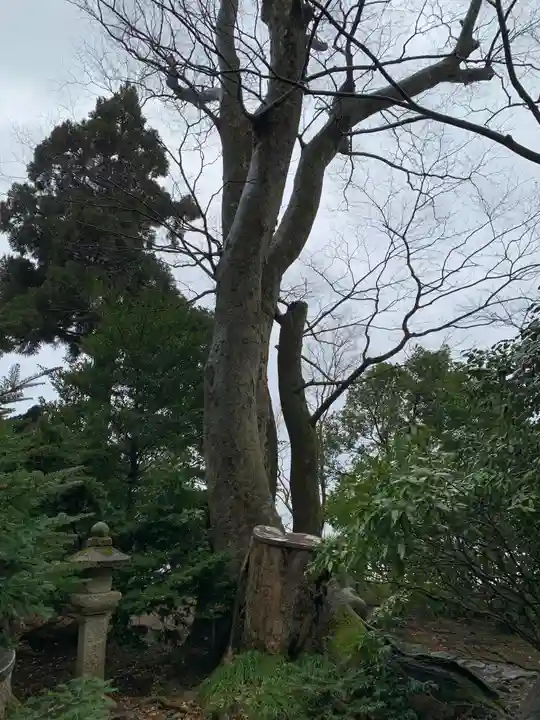 明島神社(石川県)