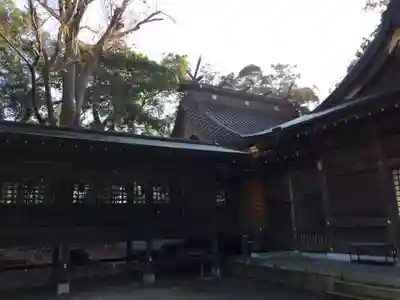 常陸國總社宮の本殿・本堂