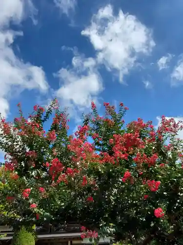 長泉寺(福島県)