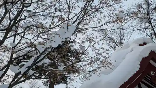 六號神社（鷹栖神社）の自然