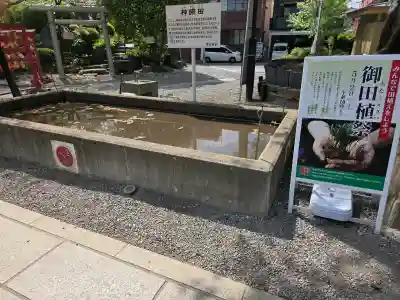 鎮守氷川神社の{uncategorized: "未分類", other: "その他", undefined: "問題あり", building: "その他建物", grave: "お墓", sacred_gate: "鳥居", guardian: "狛犬", statue: "像", buddha: "仏像", history: "歴史", nature: "自然", garden: "庭園", animal: "動物", pagoda: "塔", temizu: "手水舎", mountain_gate: "山門・神門", sanctuary: "本殿・本堂", subordinate: "末社・摂社", art: "芸術", scenery: "景色", jizo: "地蔵", ema: "絵馬", goshuin: "御朱印", omikuji: "おみくじ", items: "授与品その他", amulet: "お守り", goshuincho: "御朱印帳", eats: "食事", festival: "お祭り", votive_dance: "神楽", shichigosan: "七五三参", wedding: "結婚式", experience: "体験その他", initially: "初詣", around: "周辺", anti_infection: "感染症対策"}