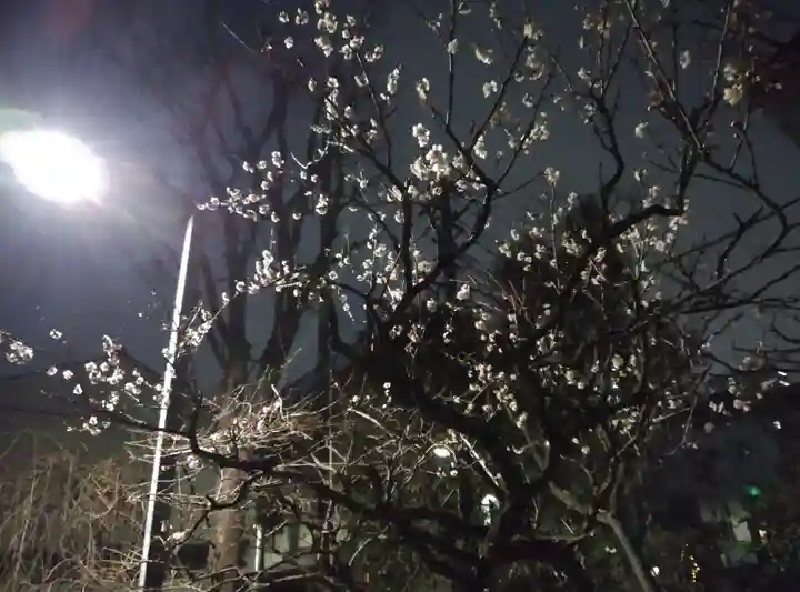 亀戸天神社(東京都)