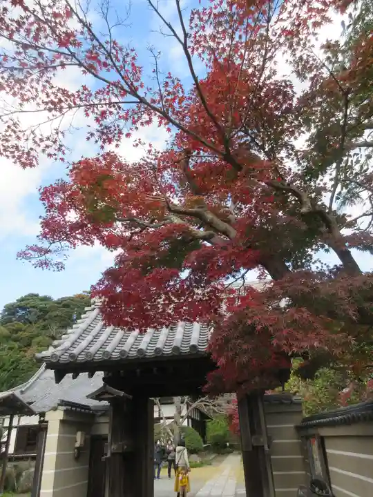 浄光明寺(神奈川県)