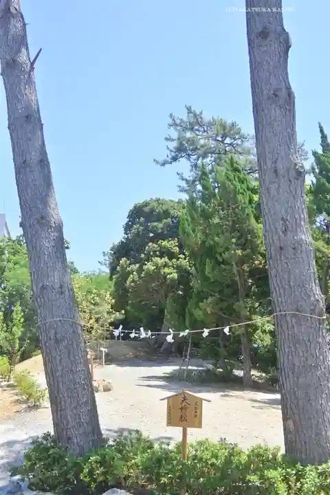 高塚熊野神社(静岡県)