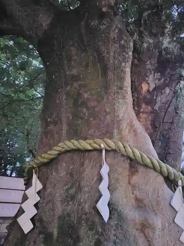 大國魂神社(東京都)