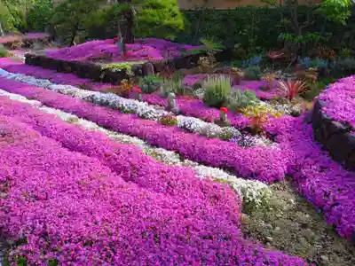 寿量山 速成寺(奈良県)