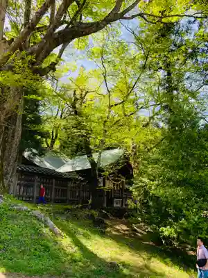 諏訪大社上社前宮(長野県)