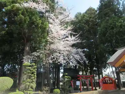 諏訪神社(岩手県)
