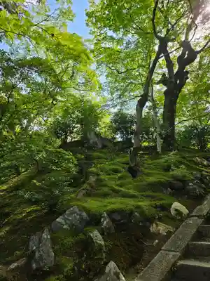 常寂光寺(京都府)