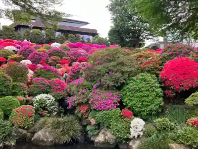 根津神社(東京都)