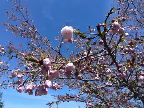 永林寺(京都府)