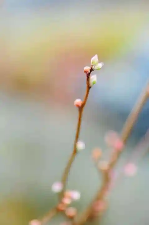 浄土寺(兵庫県)