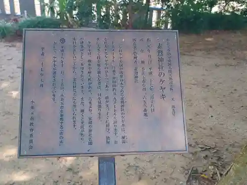 素鵞神社の{uncategorized: "未分類", other: "その他", undefined: "問題あり", building: "その他建物", grave: "お墓", sacred_gate: "鳥居", guardian: "狛犬", statue: "像", buddha: "仏像", history: "歴史", nature: "自然", garden: "庭園", animal: "動物", pagoda: "塔", temizu: "手水舎", mountain_gate: "山門・神門", sanctuary: "本殿・本堂", subordinate: "末社・摂社", art: "芸術", scenery: "景色", jizo: "地蔵", ema: "絵馬", goshuin: "御朱印", omikuji: "おみくじ", items: "授与品その他", amulet: "お守り", goshuincho: "御朱印帳", eats: "食事", festival: "お祭り", votive_dance: "神楽", shichigosan: "七五三参", wedding: "結婚式", experience: "体験その他", initially: "初詣", around: "周辺", anti_infection: "感染症対策"}