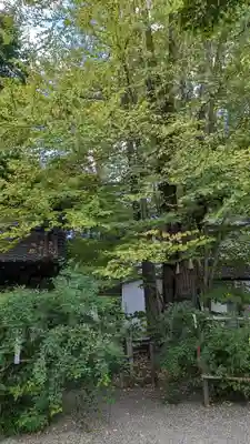 迎稱寺（迎称寺）(京都府)