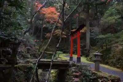 白龍神社(京都府)