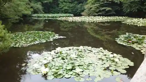 明治神宮(東京都)