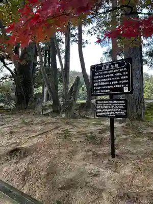 毛越寺(岩手県)
