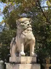 大山祇神社の狛犬