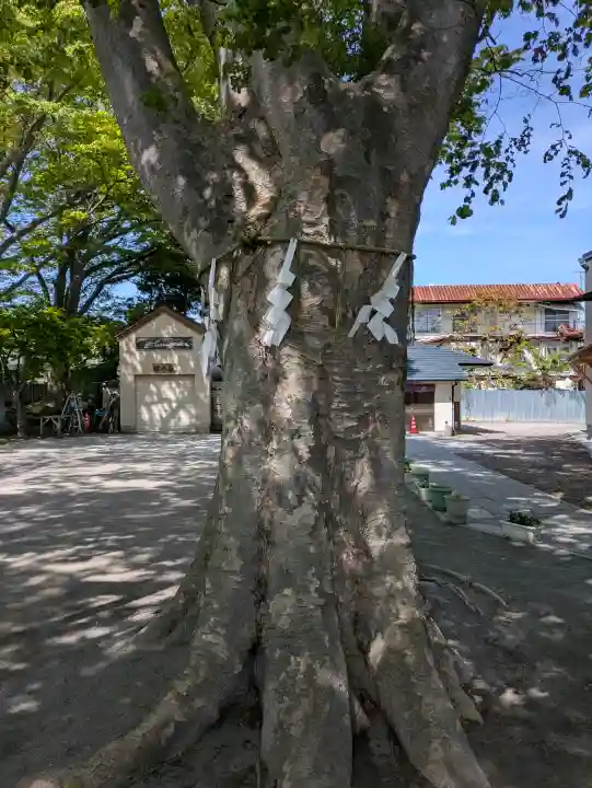 乃木神社の{uncategorized: "未分類", other: "その他", undefined: "問題あり", building: "その他建物", grave: "お墓", sacred_gate: "鳥居", guardian: "狛犬", statue: "像", buddha: "仏像", history: "歴史", nature: "自然", garden: "庭園", animal: "動物", pagoda: "塔", temizu: "手水舎", mountain_gate: "山門・神門", sanctuary: "本殿・本堂", subordinate: "末社・摂社", art: "芸術", scenery: "景色", jizo: "地蔵", ema: "絵馬", goshuin: "御朱印", omikuji: "おみくじ", items: "授与品その他", amulet: "お守り", goshuincho: "御朱印帳", eats: "食事", festival: "お祭り", votive_dance: "神楽", shichigosan: "七五三参", wedding: "結婚式", experience: "体験その他", initially: "初詣", around: "周辺", anti_infection: "感染症対策"}